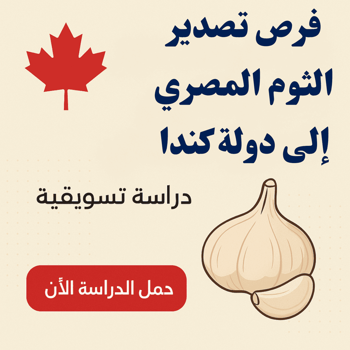 دراسة تسويقية عن سوق الثوم في كندا